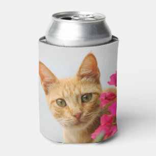 Enfriador De Latas Gato Ginger Gatito Gatito Gatito mirando la foto -