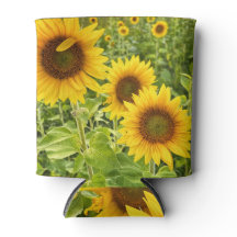 Girasol