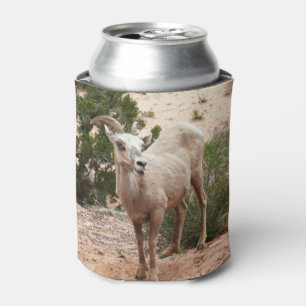 Enfriador De Latas Graciosa oveja bighorn en el Parque Nacional de Zi