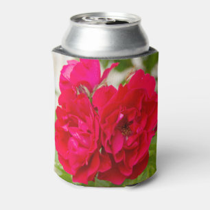 Enfriador De Latas Grandes rosas rojas en el jardín
