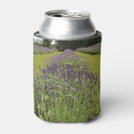Enfriador De Latas Granja de lavanda Seafoam