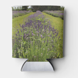 Enfriador De Latas Granja de lavanda Seafoam