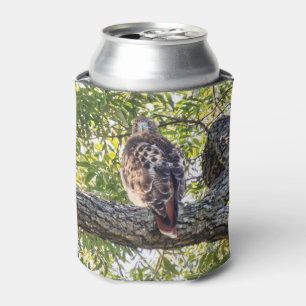 Enfriador De Latas Halcón rojo de la cola
