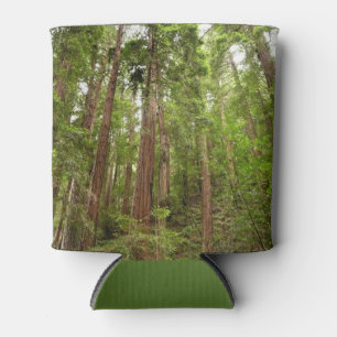 Enfriador De Latas Hasta Redwoods I en el Monumento Nacional Muir Woo