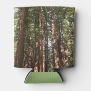 Enfriador De Latas Hasta secuoyas II en el monumento nacional Muir Wo