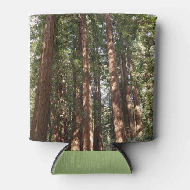 Enfriador De Latas Hasta secuoyas II en el monumento nacional Muir Wo (Anverso)