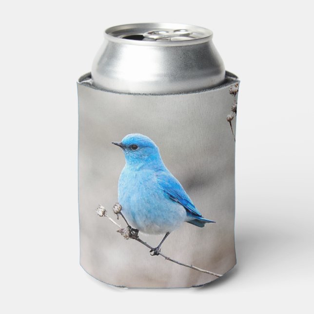 Enfriador De Latas Hermoso Bluebird (Lata Anverso)