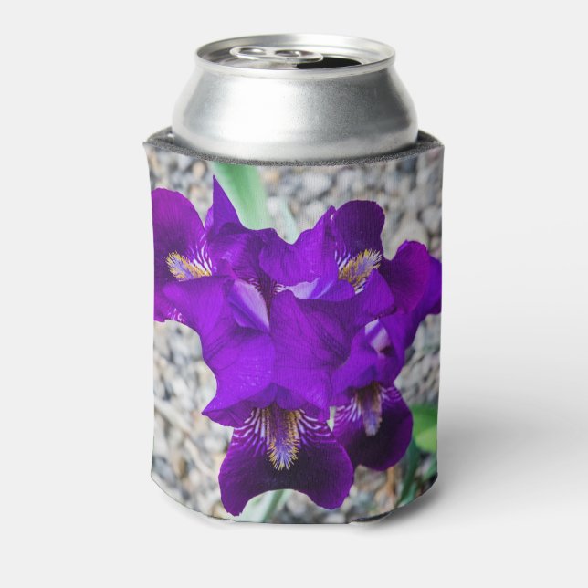 Enfriador De Latas Hermoso iris morado (Reverso de la lata)