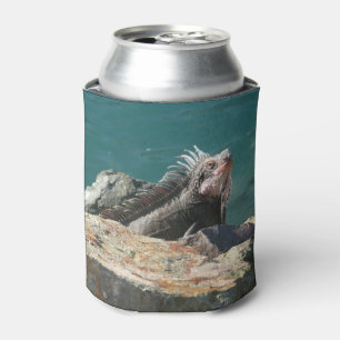 Enfriador De Latas Iguana en St. Thomas