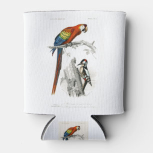 Enfriador De Latas ilustracion de aves loro