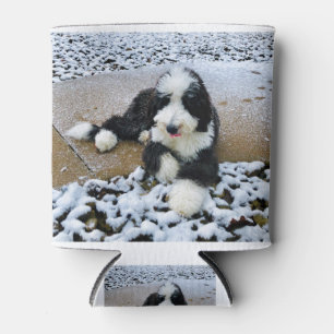 ENFRIADOR DE LATAS IMG_9916