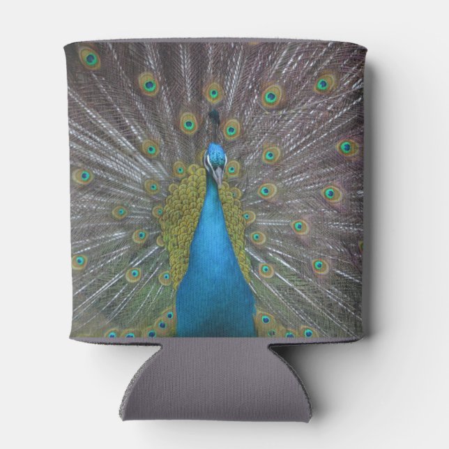 Enfriador De Latas Impresionante pavo real (Reverso)