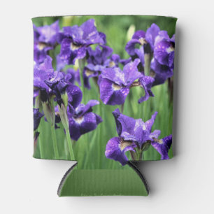 Enfriador De Latas Iris siberiano violeta, Brother de César