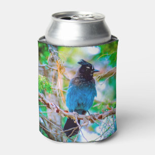 Enfriador De Latas Jay de Steller - Fotografía original
