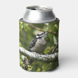 Enfriador De Latas Joven pájaro lechoso en el árbol de peras