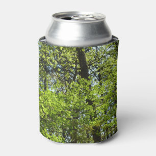 Enfriador De Latas La naturaleza de las hojas de arce de primavera