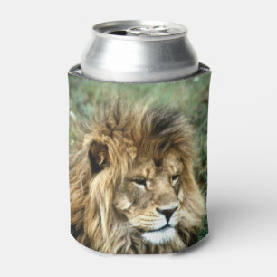 Enfriador De Latas León africano