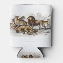 León asiático, leona, tigre bengalí, leopardo