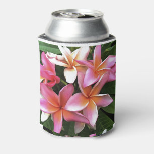 Enfriador De Latas Leyenda De Flor De Frangipani Pink Pálido