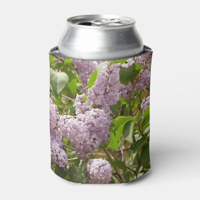 Enfriador De Latas Lilac Bush hermosas flores de primavera morada (Lata Anverso)