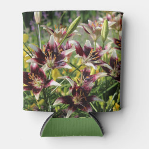 Enfriador De Latas Lilias asiáticas de la crema borgoñona, dias amari