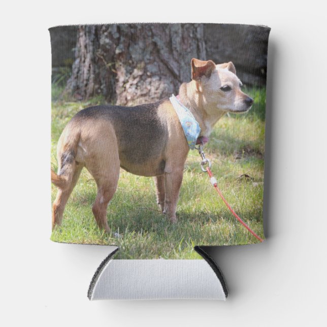 Enfriador De Latas Lily (Anverso)