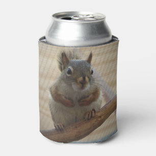 Enfriador De Latas Linda ardilla agazapada en una rama