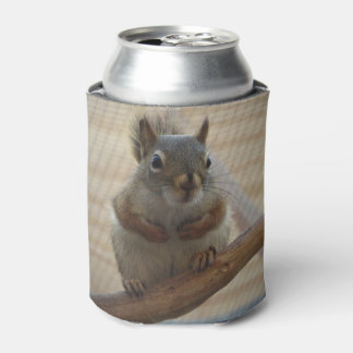 Enfriador De Latas Linda ardilla agazapada en una rama