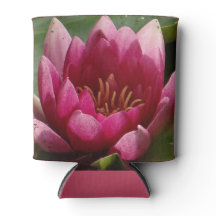 lirio rosa
