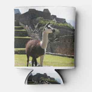Enfriador De Latas Llama salvaje cerca de las ruinas