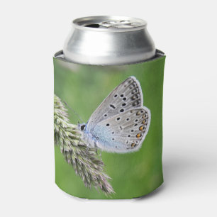 Enfriador De Latas Mariposa Azul Común en Hierba