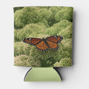 Enfriador De Latas Mariposa Viceroy Hermosa Fotografía de la Naturale