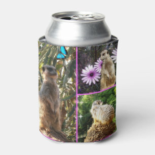 Enfriador De Latas Meerkat En Un Collage de fotos,