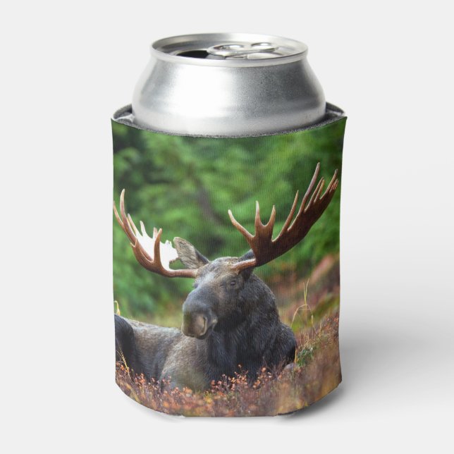 Enfriador De Latas Moose (Lata Anverso)