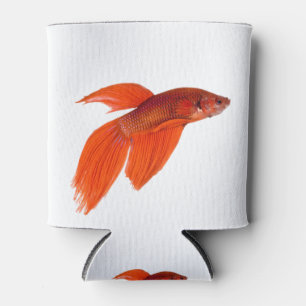 Enfriador De Latas Naranja japonés lucha contra el pescado Betta siam