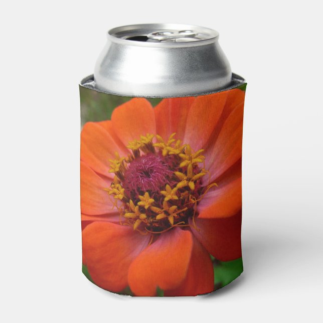 Enfriador De Latas Naranja Zinnia Wildflower Naturaleza Floral (Lata Anverso)