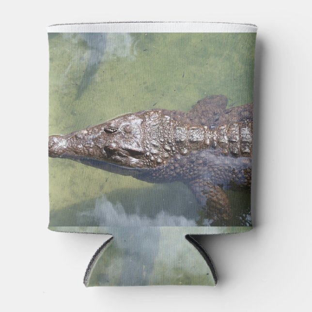 Enfriador De Latas natación en el buscador (Anverso)