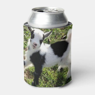 Enfriador De Latas Nigeriana fresca, negra y blanca, enana cabra
