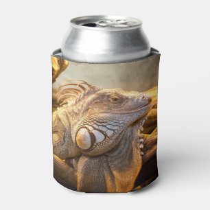Enfriador De Latas Nombre de la iguana de dragón