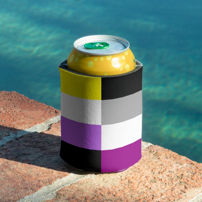 Enfriador De Latas Nonbinary Asexual Dual Pride Flag (Piscina in situ)