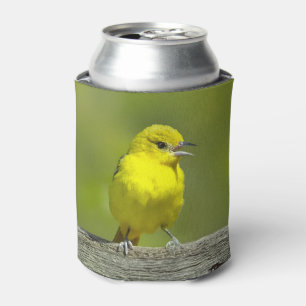 Enfriador De Latas Orchard Oriole - Foto original