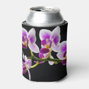 Enfriador De Latas Orquídea blanca y púrpura