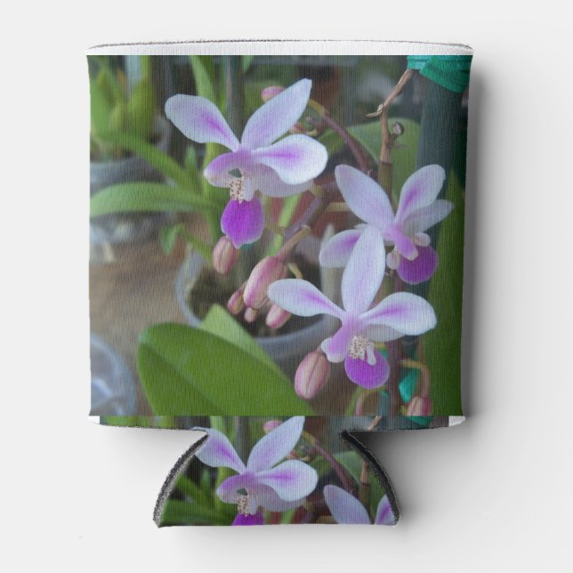 Enfriador De Latas orquídeas mini Phal (Anverso)