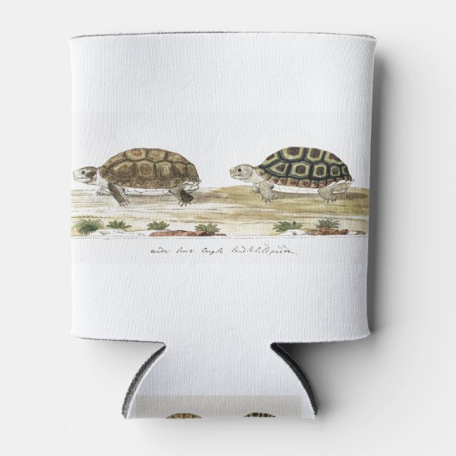 Enfriador De Latas Padloper Tortoise (Anverso)