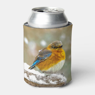 Enfriador De Latas Pájaro azul oriental en nieve - Fotografía origina