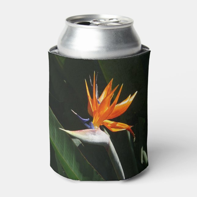 Enfriador De Latas Pájaro del Naranja del paraíso Flor tropical (Lata Anverso)