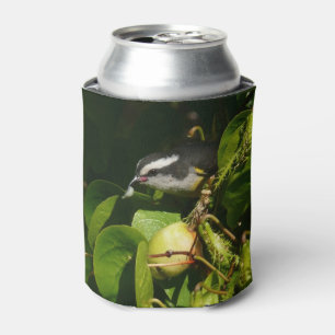 Enfriador De Latas Pájaro Mielero Comiendo Fotografía Tropical