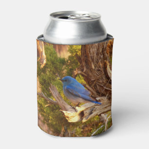 Enfriador De Latas Parque nacional de Arches