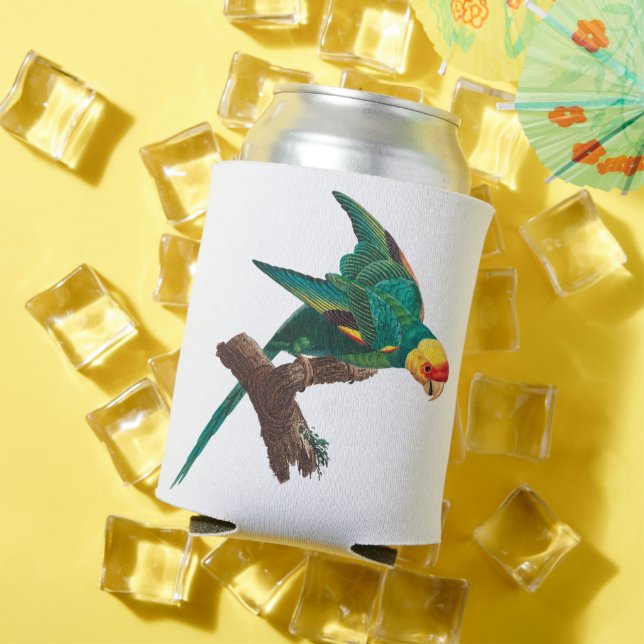 Enfriador De Latas Parroquia (Verano in situ)