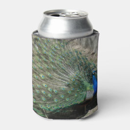 Enfriador De Latas Pavo Real Hermoso